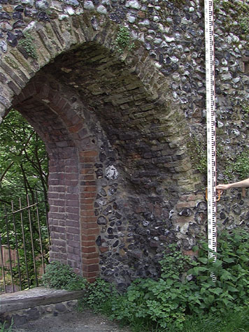 City Wall Survey