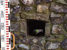 City Walls Survey
