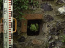 City Walls Survey