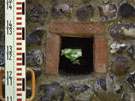 City Walls Survey