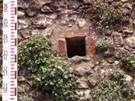 City Wall Survey