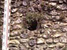 City Wall Survey