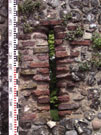 City Wall Survey