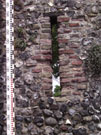 City Wall Survey