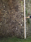 City Wall Survey