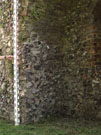 City Wall Survey