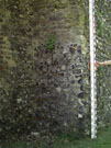 City Wall Survey