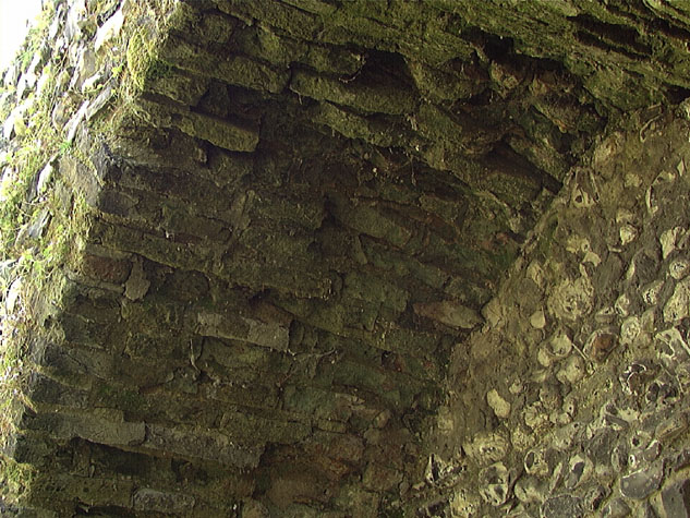 City Wall Survey