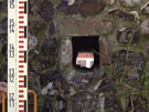 City Wall Survey