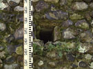 City Wall Survey