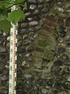 City Wall Survey