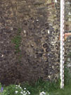 City Wall Survey