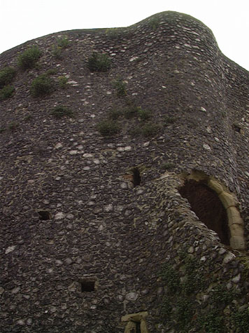 City Wall Survey
