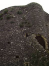 City Wall Survey