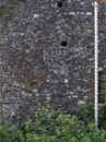 City Wall Survey