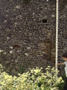 City Wall Survey