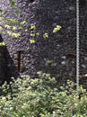 City Wall Survey