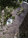 City Wall Survey
