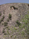 City Wall Survey