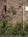 City Wall Survey