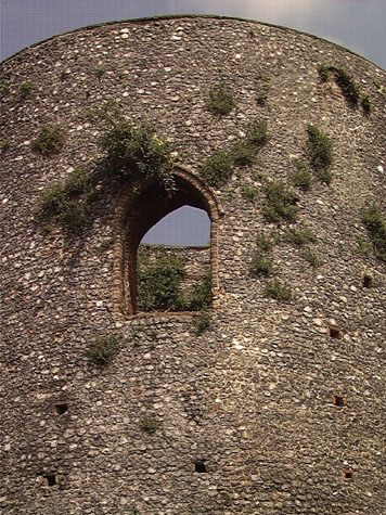 City Wall Survey