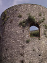 City Wall Survey