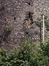 City Wall Survey