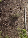 City Wall Survey