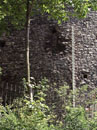 City Wall Survey