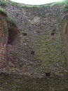 City Wall Survey