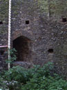 City Wall Survey