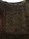 City Wall Survey