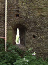 City Wall Survey