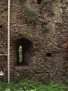 City Wall Survey