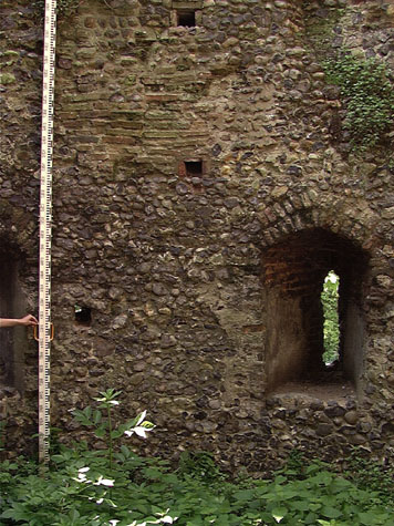 City Wall Survey