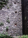 City Wall Survey