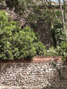 City Wall Survey