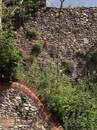 City Wall Survey