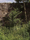 City Wall Survey