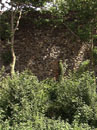 City Wall Survey