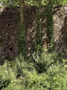 City Wall Survey