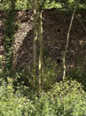 City Wall Survey
