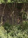 City Wall Survey