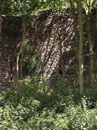 City Wall Survey