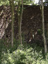 City Wall Survey