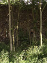 City Wall Survey
