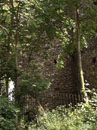 City Wall Survey