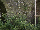 City Wall Survey