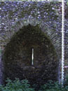 City Wall Survey