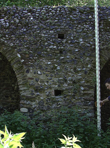 City Wall Survey